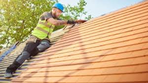 Best Skylight Installation and Repair  in Rincon, GA