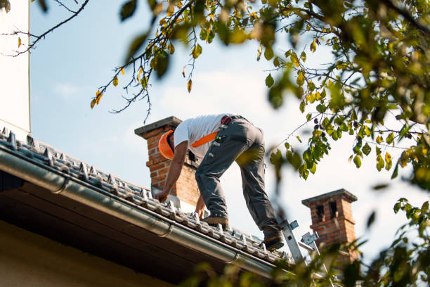 Best Cold Roofs  in Rincon, GA